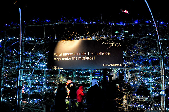 kew-gardens-christmas
